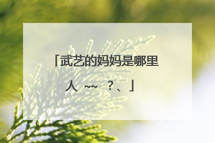 武艺的妈妈是哪里人 ~~ ？、