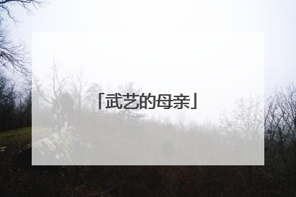 武艺的母亲
