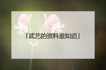 武艺的资料谁知道