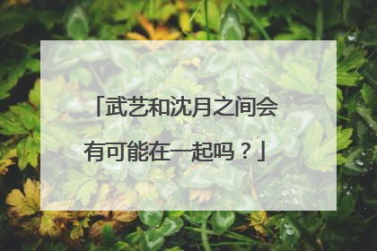 武艺和沈月之间会有可能在一起吗?