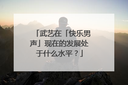 武艺在「快乐男声」现在的发展处于什么水平?
