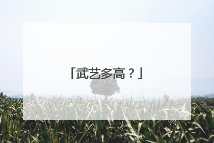 武艺多高?
