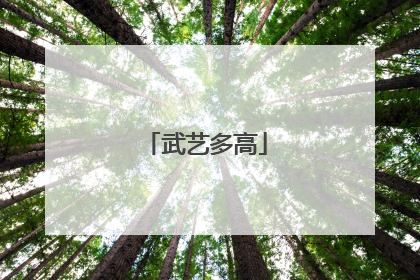 武艺多高