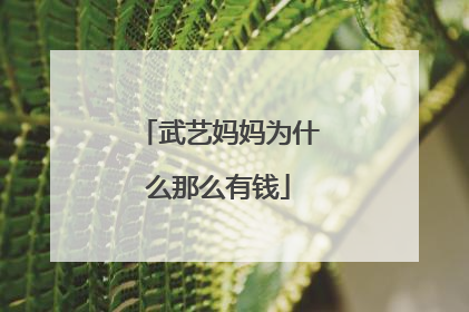 武艺妈妈为什么那么有钱