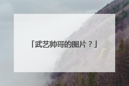 武艺帅哥的图片？