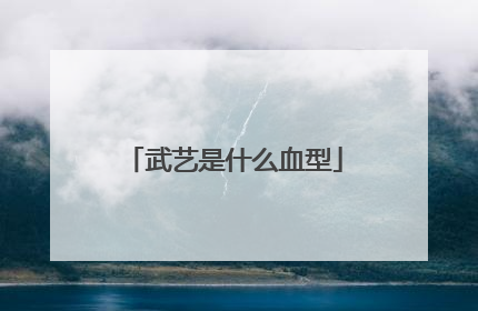 武艺是什么血型