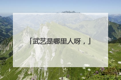 武艺是哪里人呀，