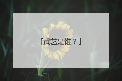 武艺是谁?
