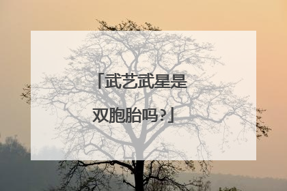 武艺武星是双胞胎吗?