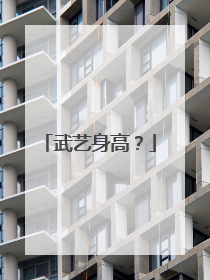 武艺身高？