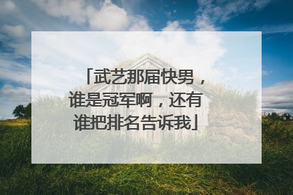 武艺那届快男,谁是冠军啊,还有谁把排名告诉我