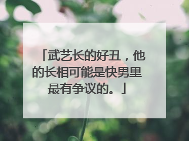 武艺长的好丑,他的长相可能是快男里最有争议的。