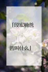 段宏楠爸爸叫什么