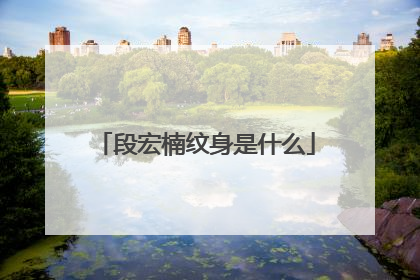 段宏楠纹身是什么