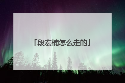 段宏楠怎么走的