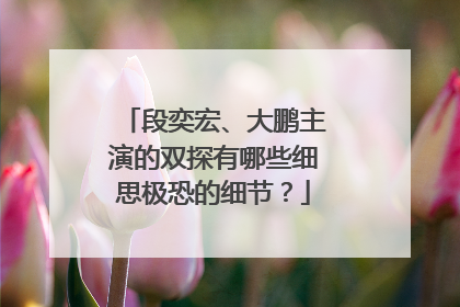 段奕宏、大鹏主演的双探有哪些细思极恐的细节？