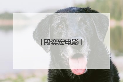 段奕宏电影