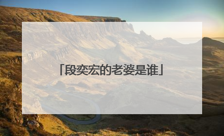 段奕宏的老婆是谁