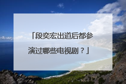 段奕宏出道后都参演过哪些电视剧?