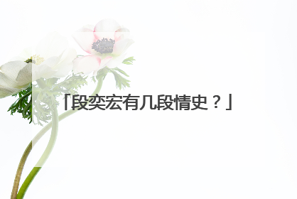 段奕宏有几段情史？