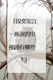 段奕宏江一燕演的电视剧有哪些？