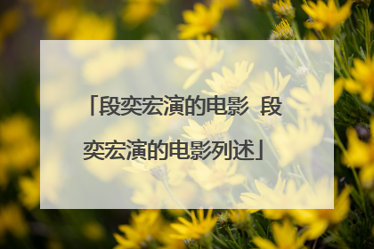 段奕宏演的电影 段奕宏演的电影列述