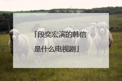 段奕宏演的韩信是什么电视剧