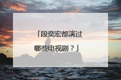 段奕宏都演过哪些电视剧？