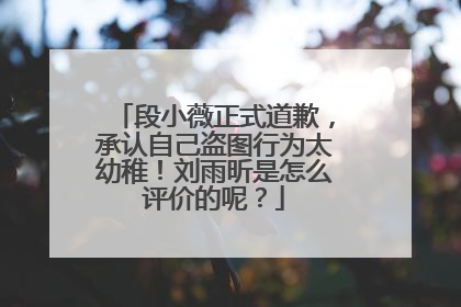 段小薇正式道歉,承认自己盗图行为太幼稚!刘雨昕是怎么评价的呢?