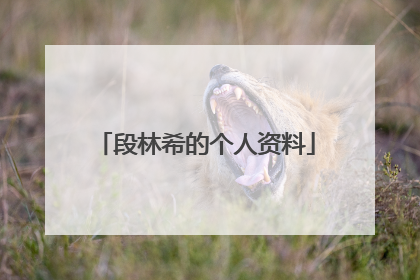 段林希的个人资料