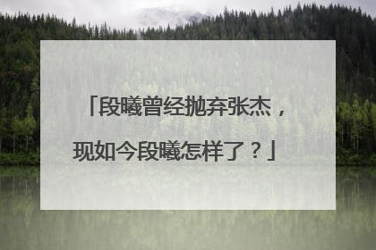段曦曾经抛弃张杰，现如今段曦怎样了？
