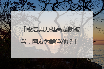 段浩男力挺高嘉朗被骂，网友为啥骂他？