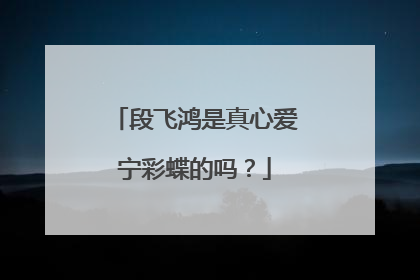 段飞鸿是真心爱宁彩蝶的吗?