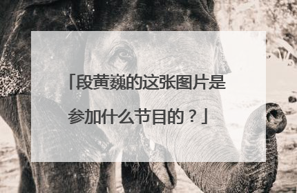 段黄巍的这张图片是参加什么节目的？