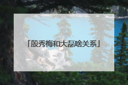 殷秀梅和大磊啥关系