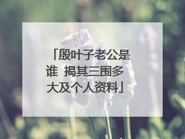 殷叶子老公是谁 揭其三围多大及个人资料