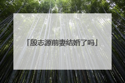 殷志源前妻结婚了吗