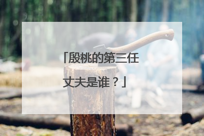 殷桃的第三任丈夫是谁?