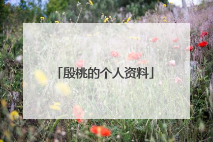 殷桃的个人资料