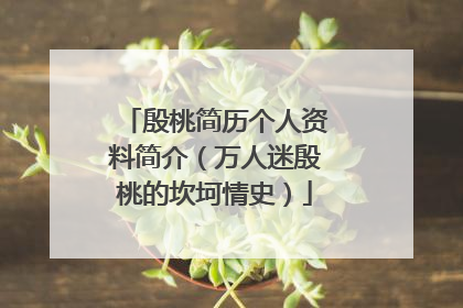 殷桃简历个人资料简介(万人迷殷桃的坎坷情史)