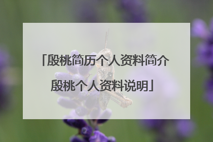 殷桃简历个人资料简介 殷桃个人资料说明