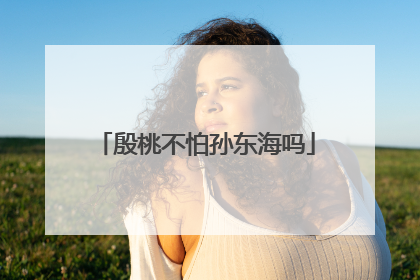 殷桃不怕孙东海吗