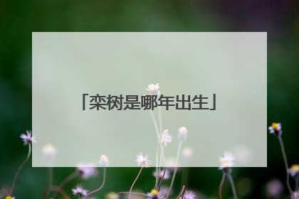 栾树是哪年出生