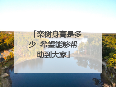 栾树身高是多少 希望能够帮助到大家