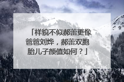 样貌不似郝蕾更像爸爸刘烨，郝蕾双胞胎儿子颜值如何？