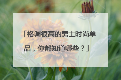 格调很高的男士时尚单品，你都知道哪些？
