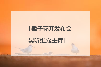 栀子花开发布会吴昕维嘉主持