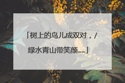树上的鸟儿成双对,/绿水青山带笑颜……
