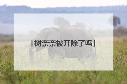 树奈奈被开除了吗