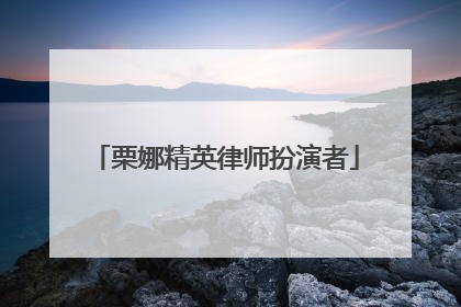 栗娜精英律师扮演者